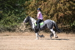 WJ6_8509