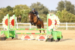 SBM_03886