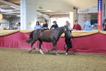 SBM_14947