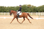 SBM_005513