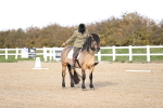 SBM_000933