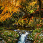 Autumn Waterfall