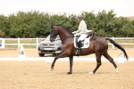 SBM_006339