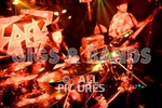 Peppered Ant Legs-117