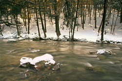 Fall and Winter portfolio