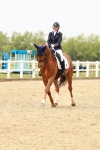 SBM_001910
