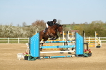 SBM_002709