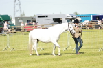 SBM_01621