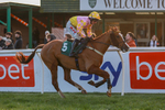 281224-Race 3-Pescatorius-1454