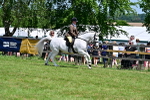 SBM_15348