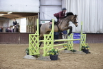 Class 2 - Equissage Pulse Senior British Novice/ 90cm Open portfolio