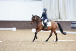 SBM_000919