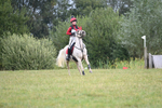WJ6_3196
