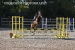 BPP_7684