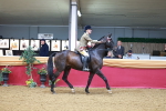 SBM_09891