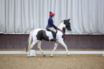 SBM_001874