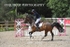 BPP_5362