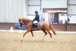 SBM_004669