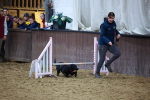 SBM_006379