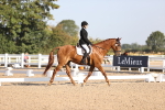 SBM_01623