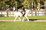 SBM_29446