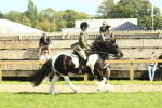 SBM_67583
