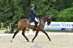 438-IRISH_TRUMP-Sarah_Bullimore-DR portfolio