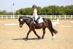 SBM_008233