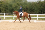SBM_00729