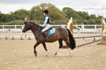 SBM_002893