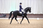 SBM_009084