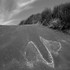 Dunescape 14