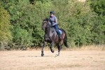 WJ6_6833