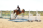 SBM_006970