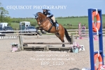 BPP_1129