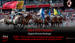 2023 Dandies Picture Package Deal