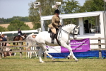 SBM_16228