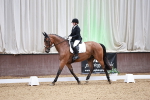 SBM_014979