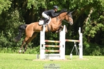 Cls 44 Foxhunter portfolio