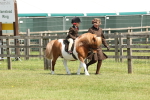 SBM_05215