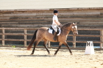 SBM_010618