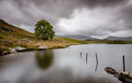 Llyn Dywarchen
