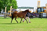 SBM_00981