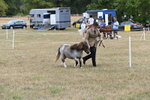 WJ6_5398