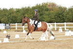 SBM_001361