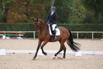 Class 11 - My Quest Novice 3 portfolio