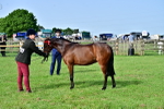 SBM_00954