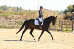 SBM_010544