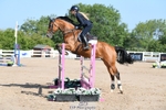 Cls 6 Snr British Novice and 90cm portfolio