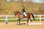 SBM_004662